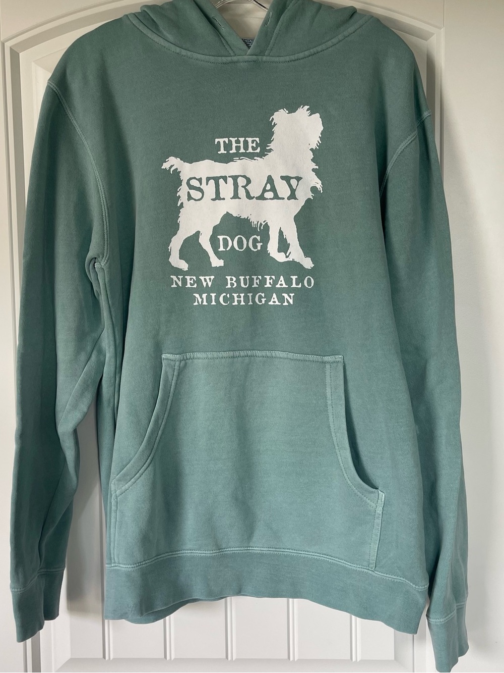 Independent Trading Company Seafoam Green Hoodie - Medium - Picture 3 of 8